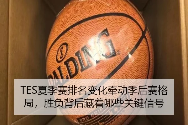 TES夏季赛排名变化牵动季后赛格局，胜负背后藏着哪些关键信号